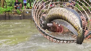 Fishing Video || Amazing Rural Fishing Video 🐟 Best Asian Fishing Technique 🐟 #shorts #india