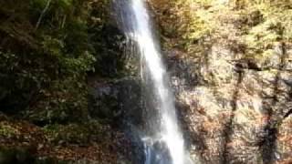 白糸の滝　滝壷（山梨県小菅村）