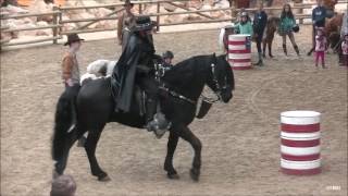 Zorro Ponyparkcity 2017