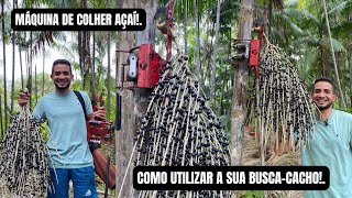 MÁQUINA DE COLHER AÇAÍ - A BUSCA-CACHO