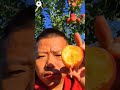 apple fruit apple fruit shortvideo