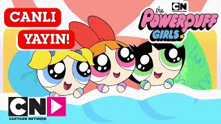 🔴 CANLI 🔴 | POWERPUFF GIRLS | 1. ve 2. Sezon | Cartoon Network Türkiye