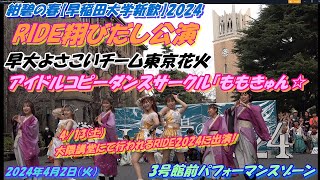 紺碧の春【早稲田大学新歓】2024🦋RIDE翔びだし公演🦋東京花火🎇＆ももきゅん☆🍑とのコラボ🍑🎇合同⇒アイドルライフブースターパック/iLiFE!