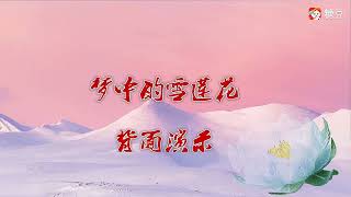 广场舞《梦中的雪莲花》