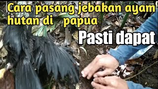 NEKAT MASUK HUTAN PAPUA PASANG JEBAKAN/JERAT DAPAT APA AJA YA?