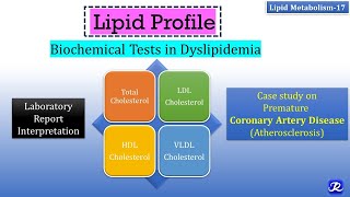 17: Lipid Profile | Biochemical tests in Dyslipidemia | Lipid Metabolism-17 | Biochemistry