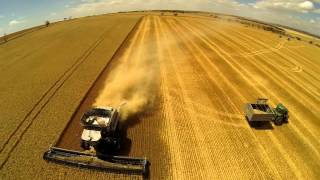 harvest 2014 movie