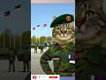 cat, cat story, catlover, ginger#shorts#home#animation#funny#cute