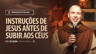 Instruções de Jesus antes de subir aos céus (Mc 16, 15 20) #1977