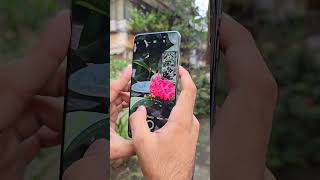 Vivo X200 Pro Camera Test 🔥