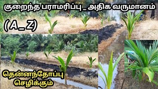 குறைவான பராமரிப்பில் தென்னந்தோப்பு  செழித்து பசுமையுடன் வேகமாக வளரும் / தென்னந்தோப்பு அனுபவம்#agri