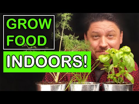 Growing Food Indoors – The Ultimate Guide