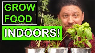 Growing Food Indoors - The Ultimate Guide