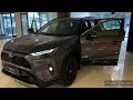 all new 2025 toyota rav4 hybrid 219hp sound interior and exterior in detail gorgeous luxury suv