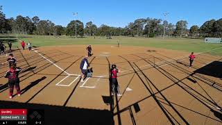 2024 Brisbane Softball 21 and under Club Challenge (Womens) - Preliminary Final Scorpions v Sharks