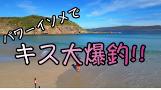 [キス釣り]パワーイソメを使って近所のサーフでシロギス爆釣!!