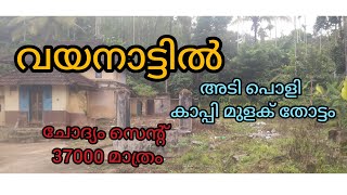 🏞️😱വയനാട്ടിൽ സെൻസിറ്റീവ് അല്ലാത്ത പ്രദേശത്ത് 7 ഏക്കർ സ്ഥലംഏക്കർ 37 ലക്ഷം🏞️