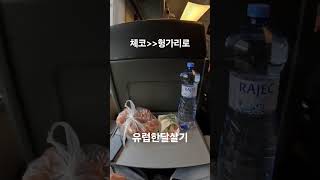 체코에서 헝가리로 아름다운인생 유럽한달살기✈️