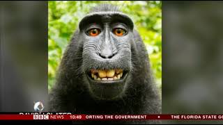 Monkey selfie lawsuit settlement discussed on BBC's Victoria Derbyshire programme (12 Sep 2017)