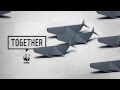 WWF Together - Whales