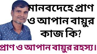 দেহে প্রাণ ও আপন বায়ুর কাজ কি। আপান বায়ুর গুপ্ত রহস্য কি। দেহে বায়ু তত্ত্ব কি। JOY SONATON