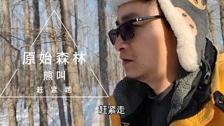 自驾游中国：在东北的大兴安岭原始森林，这里特别像冬季的挪威，我沿着大雪上的脚印追踪动物，听到了熊叫声，我跑的过熊吗？