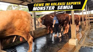 Wanita Hebat 1 Kandang Ludes Terjual Langsung Gass Pol Isi Kandang Dengan Sapi Monster