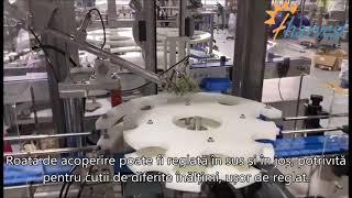 RomanianMașină automată de presare a capacului din plastic DPC60,fabricarea mașinilor de capper