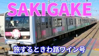 【ワインです！】旅するときわ路ワイン号　E501系 K754編成 SAKIGAKEを大きくカーブする龍ヶ崎市駅で待ちました。キャストは、E501系他、E531系、E657系