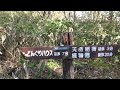 鏡池（長野県長野市戸隠）の遊歩道