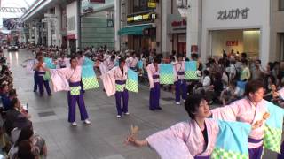 東京土佐寮　～2014高知よさこい祭り・本祭１日目(帯屋町演舞場)