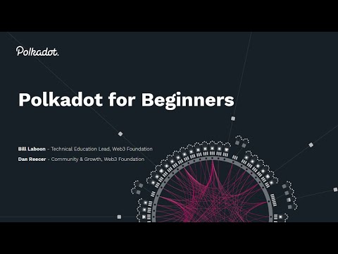 What Is Polkadot? | A Polkadot For Beginners Guide And Intro To ...