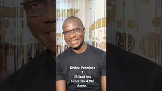 Divine Promises 1I'll lead the blind. Isa 42:16 Amen.