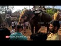 അക്കിക്കാവ് പൂരം akkikavu pooram 2024 🔥🐘🐘🐘