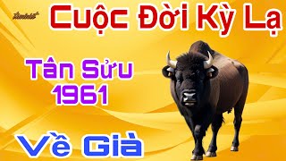 Cuộc Đời Kỳ Lạ -  Tân Sửu 1961 - Được Bề Trên Dõi Theo, Bảo Vệ Khỏi Mọi Tai Ương  Về Già Lộc Đầy Tay