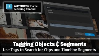 Tagging Media Panel Objects and Timeline Segments - Flame 2025.1