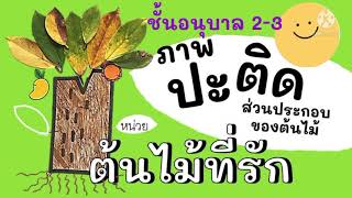 กิจกรรม ศิลปะสร้างสรรค์ อ.2-3