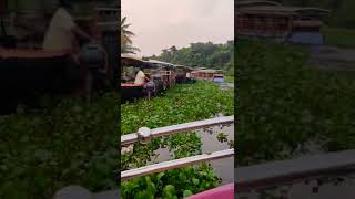 Kumarakom boating |Best back water cruise |കുമരകം|Algae canal |Full video link in comment box#shorts