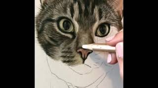 Wow😍Drawing Cat!!
