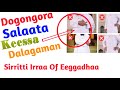 Dogongora Salaata Keessa Raawwataman | Arkaana Salaataa | Shuruuxa Salaataa