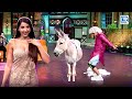 Nora को देख कर Ustaad की खुल गई पैंट | Kapil Comedy | The Kapil Sharma Show | Nora Fatehi Dance HD