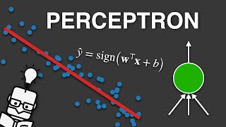 The Perceptron - Explained