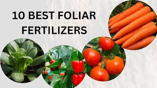 10 BEST FOLIAR FERTILIZERS TO YOUR GARDEN