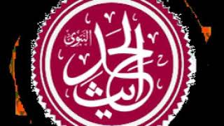 Animals in Islam | Wikipedia audio article