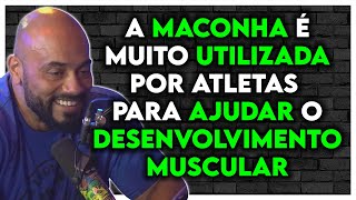 OS BENEFICIOS DA CANNABIS PARA O GANHO DE MASSA MUSCULAR | Julio Balestrin Cariani Ironberg