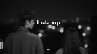 Dinaka Mage (slowed+reverb)