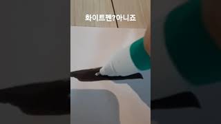 화이트펜 이었나