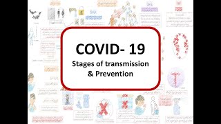 കോവിഡ്-19: നമ്മൾ എവിടെയാണ് നിൽക്കുന്നത്- പകരുന്നതിൻ്റെ ഘട്ടങ്ങളും പ്രതിരോധ രീതികളും