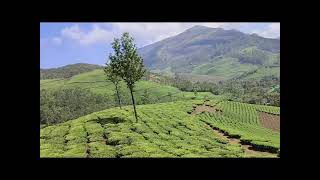 Munnar Trip Day 2 - Kerala