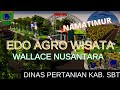 EDO AGRO WISATA WALLACE NUSANTARA || SERAM BAGIAN TIMUR || YANG PERTAMA DI MALUKU